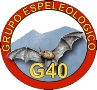 logo g40